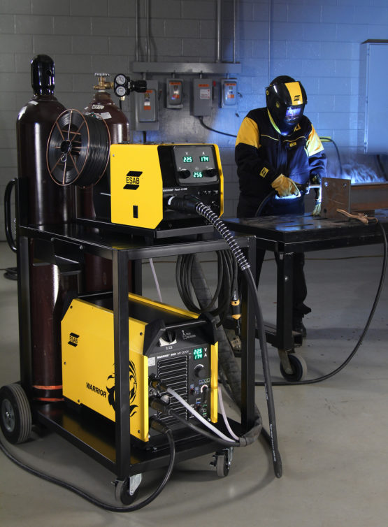ESAB WARRIOR CC/CV - Imagen 4
